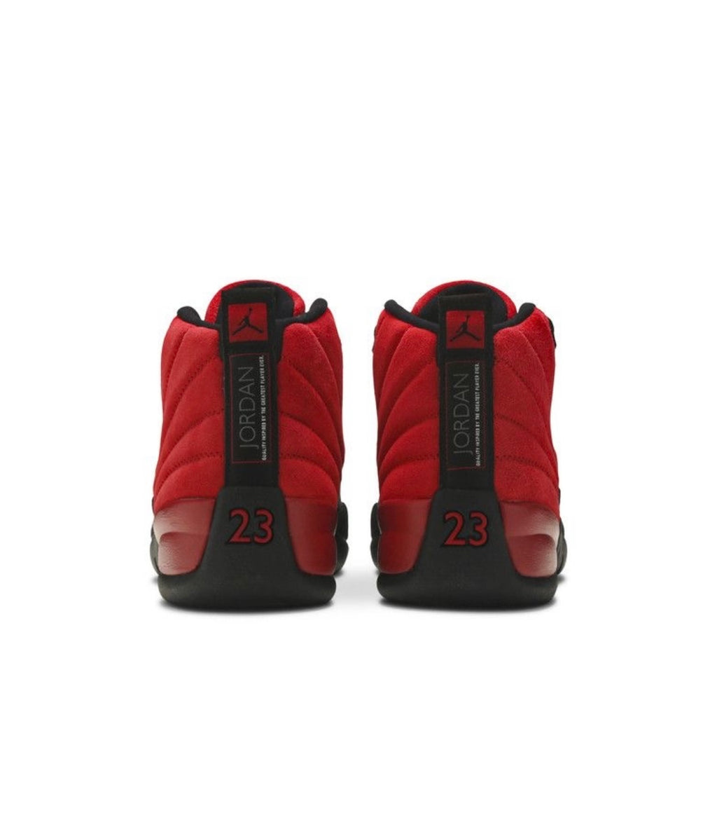 Air Jordan 12 Reverse Flu Game